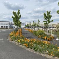 SIte_Michelin_Bourges©Arp-Astrance_2022 (15).JPG