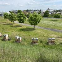SIte_Michelin_Bourges©Arp-Astrance_2022 (9).JPG