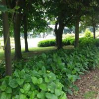 SIte_chenes_CA©Arp-Astrance_2016 (1).jpg