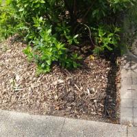 SIte_chenes_CA©Arp-Astrance_2016 (2).jpg