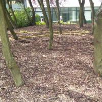 SIte_chenes_CA©Arp-Astrance_2016 (3).jpg