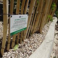 SOEURS_FRANCISCAINES_2024 (2).jpg