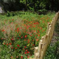 SOEURS_FRANCISCAINES_2024 (3).jpg