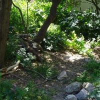 SOEURS_FRANCISCAINES_2024 (4).jpg