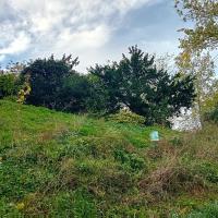 SP_Parc_Kellermann_Paris©Arp-Astrance_2023 (1).jpeg