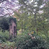 SP_Parc_Kellermann_Paris©Arp-Astrance_2023 (4).jpeg