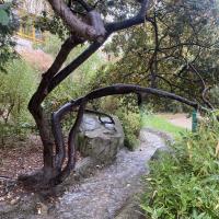 SP_Rene_LeGall_Paris©Arp-Astrance_2022 (20).JPG