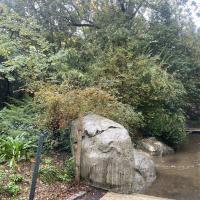 SP_Rene_LeGall_Paris©Arp-Astrance_2022 (22).JPG