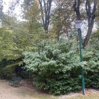 SP_Rene_LeGall_Paris©Arp-Astrance_2022 (25).JPG