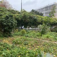 SP_Rene_LeGall_Paris©Arp-Astrance_2022 (9).JPG