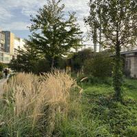 SS_Cambrai_Paris©Arp-Astrance_2022 (1).JPG