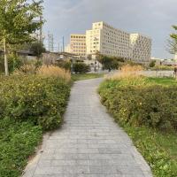 SS_Cambrai_Paris©Arp-Astrance_2022 (9).JPG