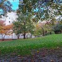 SS_Dalpayrat_Paris©Arp-Astrance_2023 (1).jpeg