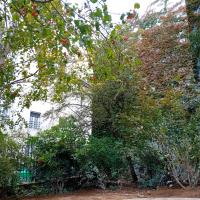 SS_Tino_Rossi_Paris©Arp-Astrance_2023 (12).jpeg