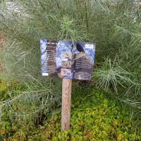 Sevran_3ha_Batigere-idf©Arp-Astrance_2019 (3).jpg