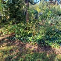 Square_Dr_Roger_Hypousteguy_Bordeaux-Metro©HederaVilleDurable_2023 (12).jpg