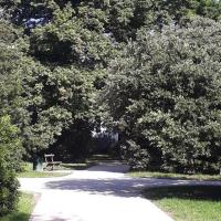 Square_Dr_Roger_Hypousteguy_Bordeaux-Metro©HederaVilleDurable_2023 (16).jpg