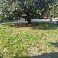 Square_Dr_Roger_Hypousteguy_Bordeaux-Metro©HederaVilleDurable_2023 (4).jpg