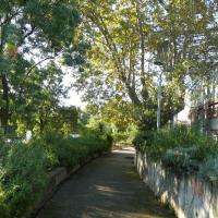 Square_Jean_Monnet_Montpellier©Oreade-Breche_2020 (17).JPG