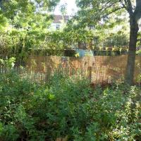 Square_Jean_Monnet_Montpellier©Oreade-Breche_2020 (9).JPG
