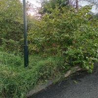 Square_Kupka_Puteaux©Arp-Astrance_2023 (11).jpg