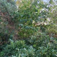 Square_Kupka_Puteaux©Arp-Astrance_2023 (13).jpg