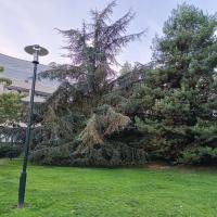 Square_Kupka_Puteaux©Arp-Astrance_2023 (20).jpg