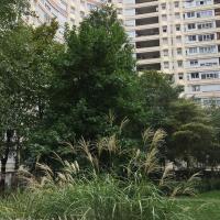 Square_Rgnault_ParisLaDefense©Arp-Astrance_2022 (1).JPG