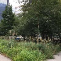 Square_Rgnault_ParisLaDefense©Arp-Astrance_2022 (3).JPG