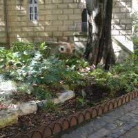 Square_Tour_Pins_Montpellier©Oreade-Breche_2020 (14).JPG