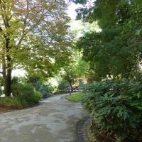 Square_Tour_Pins_Montpellier©Oreade-Breche_2020 (29).JPG