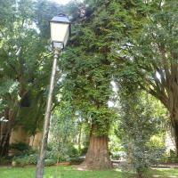 Square_Tour_Pins_Montpellier©Oreade-Breche_2020 (3).JPG