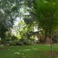 Square_Tour_Pins_Montpellier©Oreade-Breche_2020 (35).JPG