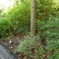 Square_Tour_Pins_Montpellier©Oreade-Breche_2020 (6).JPG