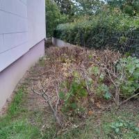 St-Martin_Batigere-idf©Arp-Astrance_2023 (1).jpg