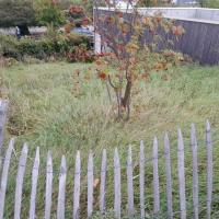 St-Martin_Cessible_Batigere-idf©Arp-Astrance_2023 (18).jpg