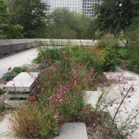 Terrasses_Boieldieu_ParisLaDefense©Arp-Astrance_2022 (3).JPG