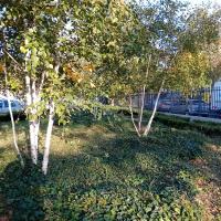 Union_Batigere-idf©Arp-Astrance_2023 (3).jpeg