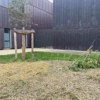 Universite_ANgers©Arp-Astrance_2022 (1).JPG