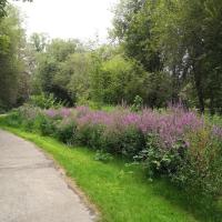 Vallee_Auzette_Limoges©VIlle_Limoges_2022 (3).jpg