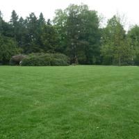 Vitre-Jardin_du_Parc%C2%A9GONDWANA_2016%20%283%29.JPG