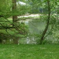 Vitre-Jardin_du_Parc%C2%A9GONDWANA_2016%20%288%29.JPG