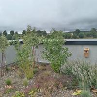 WhatsApp Image 2023-09-12 at 10.45.58 (1).jpeg