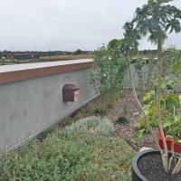 WhatsApp Image 2023-09-12 at 10.45.58 (2).jpeg