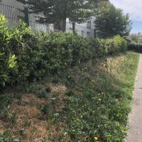 residence_alize_Batigereidf©Arp-Astrance_2022 (3).JPG