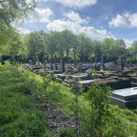 CIMETIERE DE BAGNEUX, VILLE DE PARIS @ARP ASTRANCE_2025 (14).JPEG