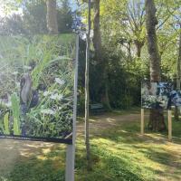 CIMETIERE DE BAGNEUX, VILLE DE PARIS @ARP ASTRANCE_2025 (2).JPEG