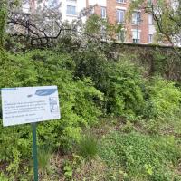 CIMETIERE DE BAGNEUX, VILLE DE PARIS @ARP ASTRANCE_2025 (86).JPEG