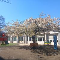 ECOLE COCHENNEC, VILLE DE PANTIN, @ARP ASTRANCE 2025 (2).jpg