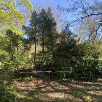 PARC FLORAL, VILLE DE PARIS @ARP ASTRANCE_2025 (150).JPEG